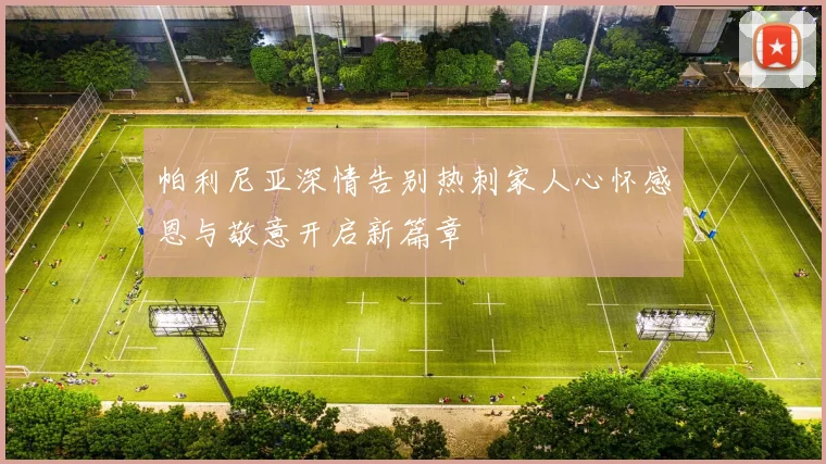 帕利尼亚深情告别热刺家人心怀感恩与敬意开启新篇章